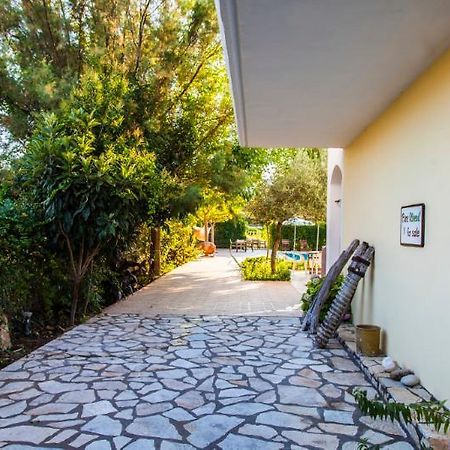 Thanasis Studios Λυγιά Εξωτερικό φωτογραφία